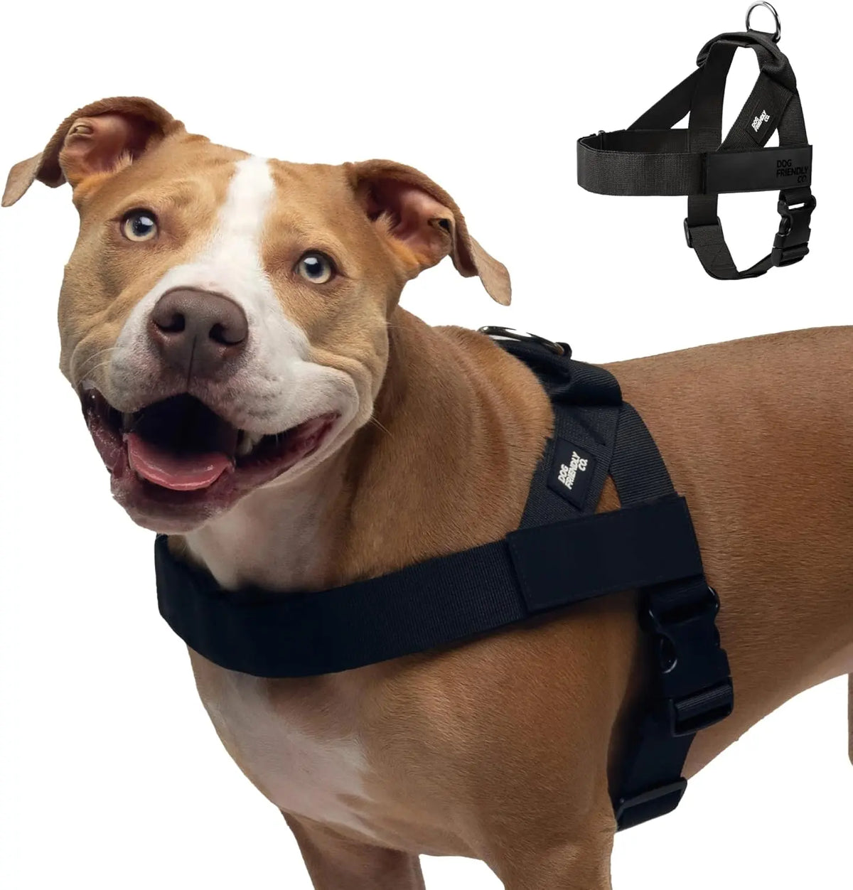 Dog Friendly Co. Harness - Easy to Fit No-Pull Design - Safe Secure and Comfortable - Ideal for All Dogs - Chafe-Resistant Lightweight Straps - Adjustable Straps for Perfect Fit Walking Harness