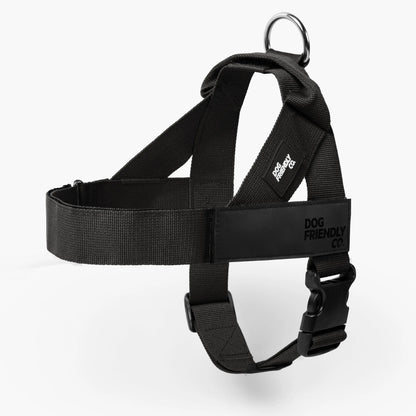 Dog Friendly Co. Harness - Easy to Fit No-Pull Design - Safe Secure and Comfortable - Ideal for All Dogs - Chafe-Resistant Lightweight Straps - Adjustable Straps for Perfect Fit Walking Harness