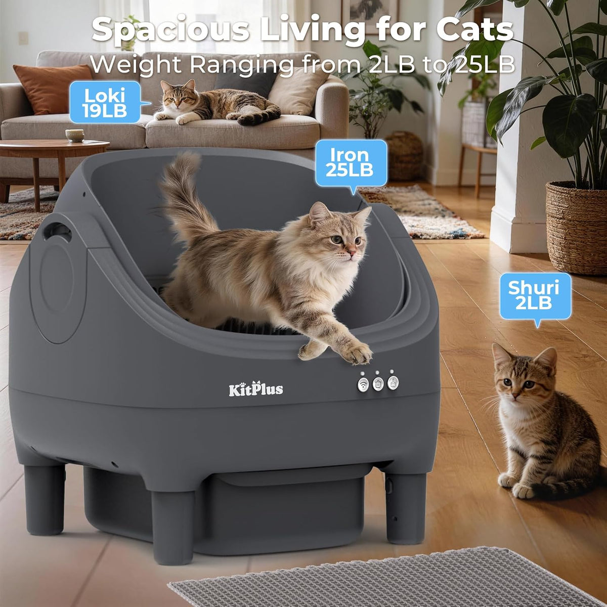 Self Cleaning Litter Box, Automatic Cat Litter Box-App Control, Open-Design Electric Litter Box, Safety Anti-Pinch, Odor-Free Waste Disposal Includes Trash Bags, Suitable for Multiple Cats, Grey