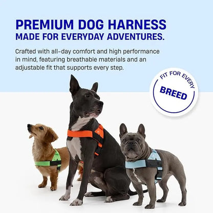 Dog Friendly Co. Harness - Easy to Fit No-Pull Design - Safe Secure and Comfortable - Ideal for All Dogs - Chafe-Resistant Lightweight Straps - Adjustable Straps for Perfect Fit Walking Harness