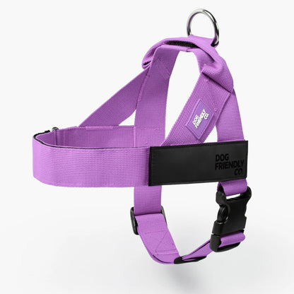 Dog Friendly Co. Harness - Easy to Fit No-Pull Design - Safe Secure and Comfortable - Ideal for All Dogs - Chafe-Resistant Lightweight Straps - Adjustable Straps for Perfect Fit Walking Harness