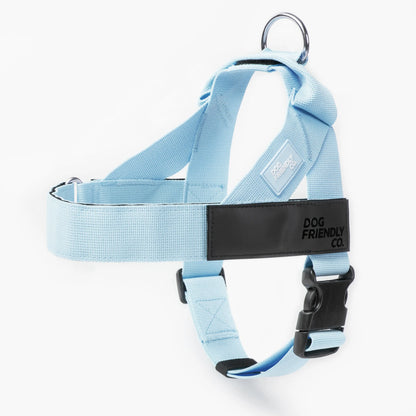 Dog Friendly Co. Harness - Easy to Fit No-Pull Design - Safe Secure and Comfortable - Ideal for All Dogs - Chafe-Resistant Lightweight Straps - Adjustable Straps for Perfect Fit Walking Harness