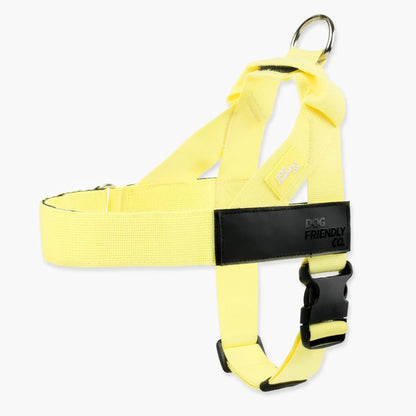 Dog Friendly Co. Harness - Easy to Fit No-Pull Design - Safe Secure and Comfortable - Ideal for All Dogs - Chafe-Resistant Lightweight Straps - Adjustable Straps for Perfect Fit Walking Harness