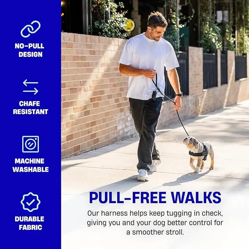 Dog Friendly Co. Harness - Easy to Fit No-Pull Design - Safe Secure and Comfortable - Ideal for All Dogs - Chafe-Resistant Lightweight Straps - Adjustable Straps for Perfect Fit Walking Harness