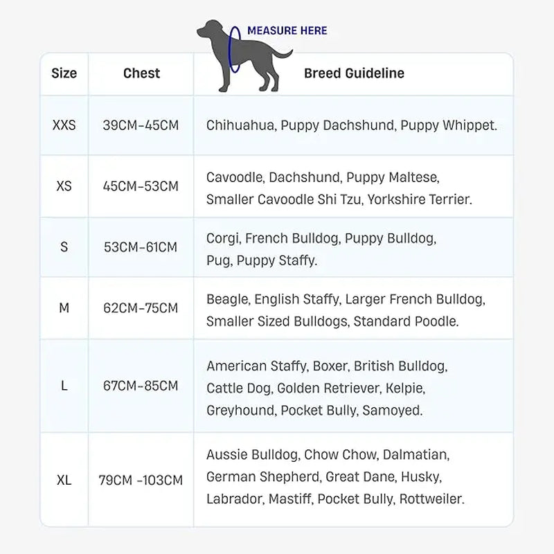 Dog Friendly Co. Harness - Easy to Fit No-Pull Design - Safe Secure and Comfortable - Ideal for All Dogs - Chafe-Resistant Lightweight Straps - Adjustable Straps for Perfect Fit Walking Harness