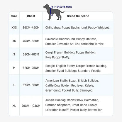 Dog Friendly Co. Harness - Easy to Fit No-Pull Design - Safe Secure and Comfortable - Ideal for All Dogs - Chafe-Resistant Lightweight Straps - Adjustable Straps for Perfect Fit Walking Harness